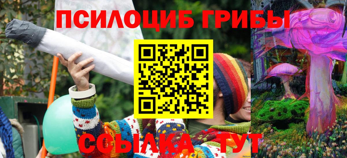 закладка  Псилоцибиновые грибы Magic Shrooms  Вход с VPN  Галлюциногенные грибы ЛСД  Владивосток 