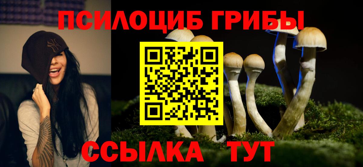 Галлюциногенные грибы прущие грибы Владивосток