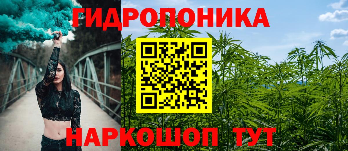 Марихуана конопля Владивосток